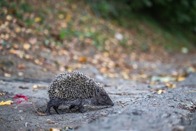 在刚刚结束 在刚刚结束