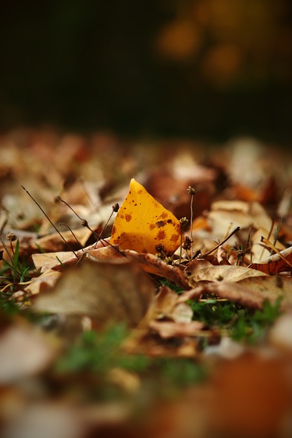 更多的惊喜 更多的惊喜