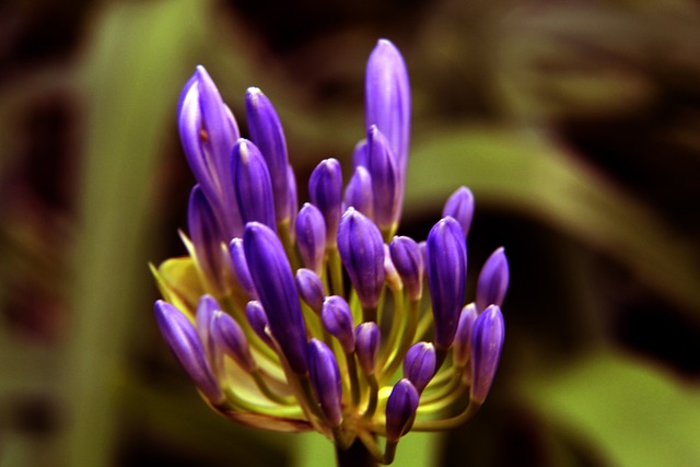 展现了其在 展现了其在