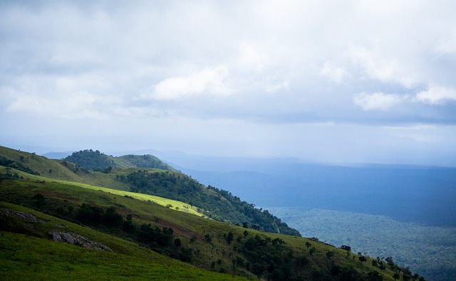 尼克斯的奇 尼克斯的奇