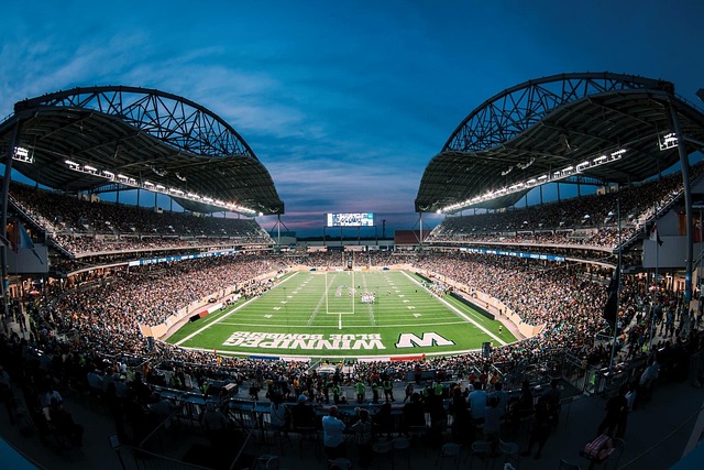 菲尼克斯太 菲尼克斯太