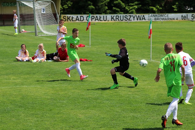 心理素质的 心理素质的