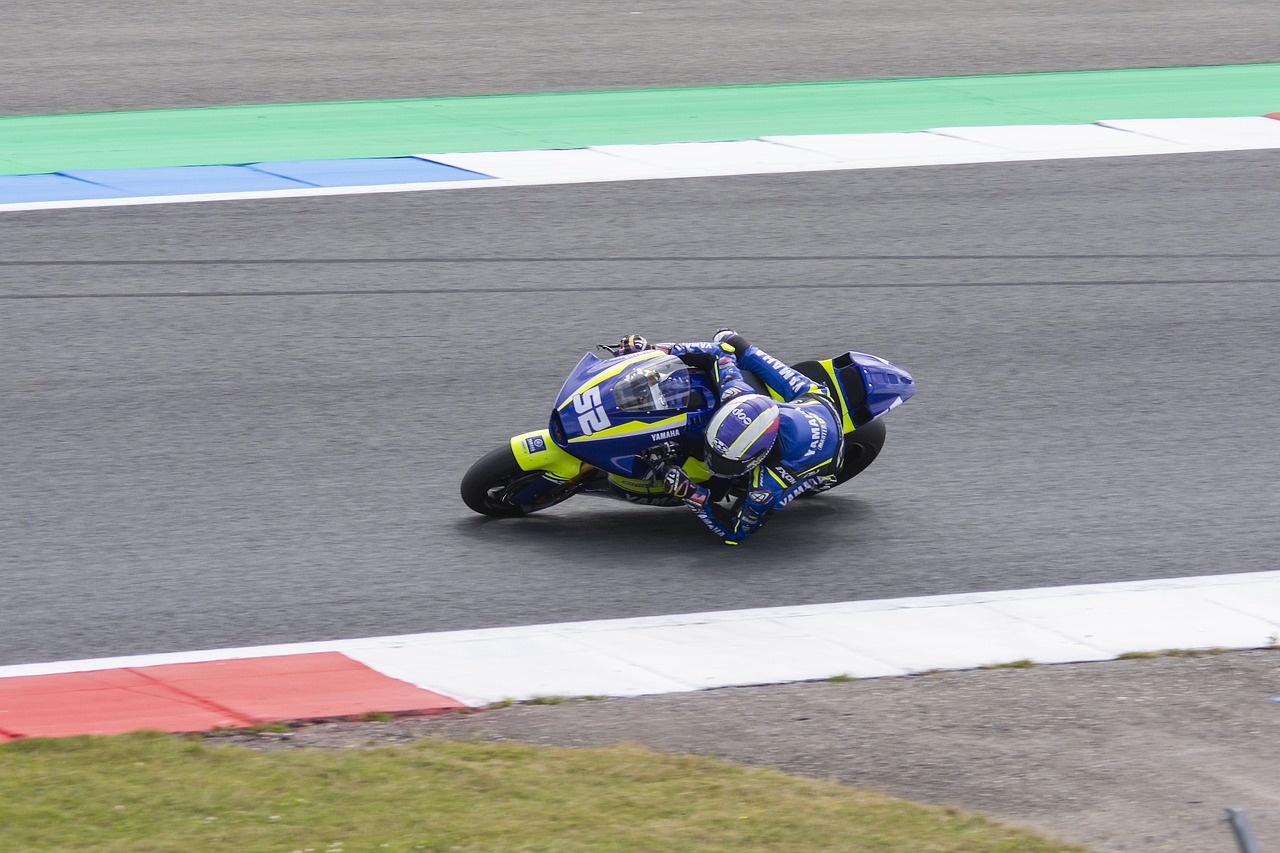 这种融洽的 这种融洽的